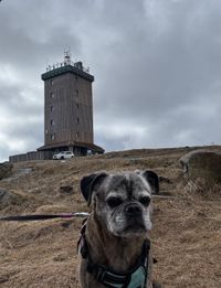 Daphne aus Berlin auf dem Brocken