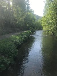 Badeparadies f&uuml;r Fellnasen